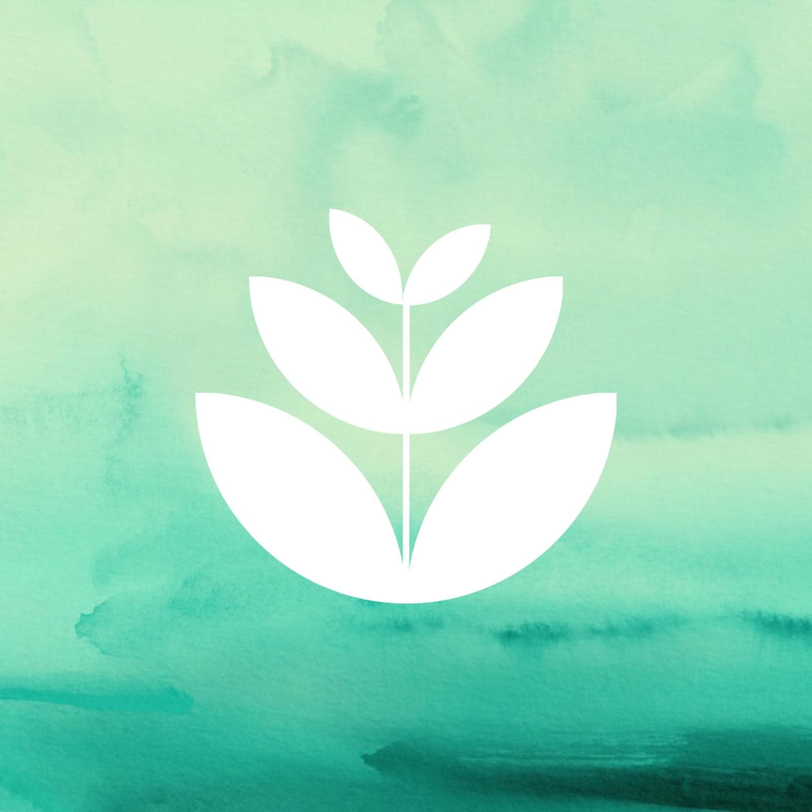 Classes & Community Projects